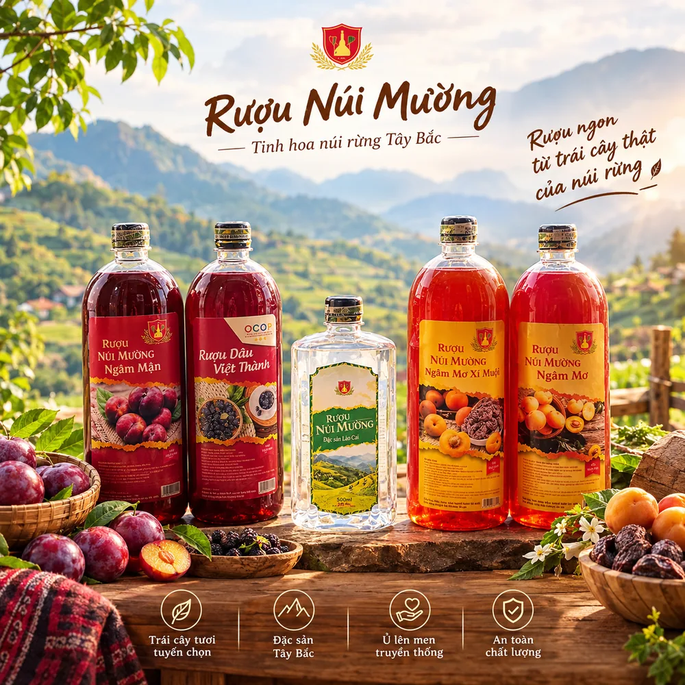 5 vị rượu Núi Mường: Mận Hậu, Dâu Tằm, Men Lá, Mơ Xí Muội, Mơ